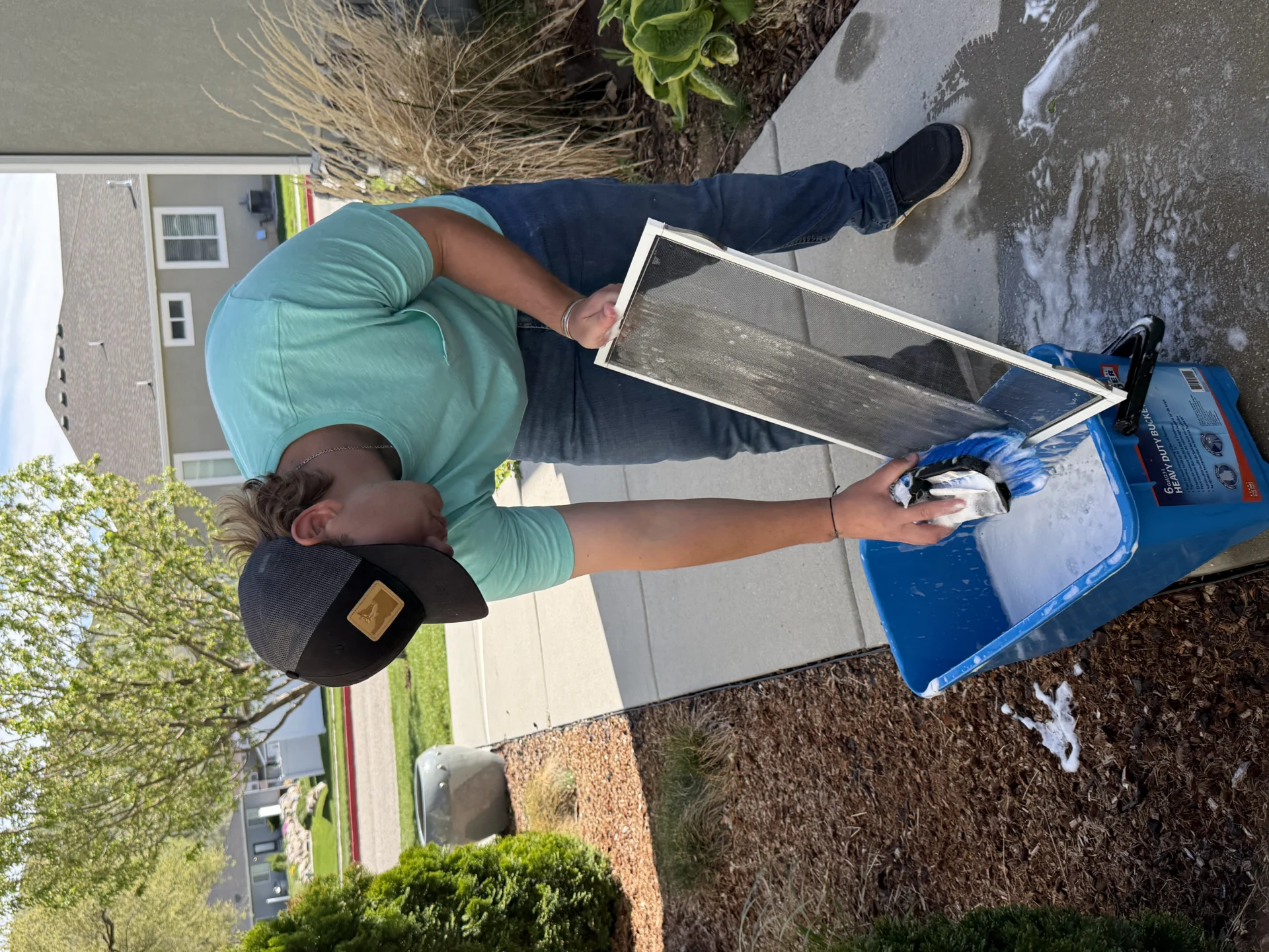 Window Screen Cleaning